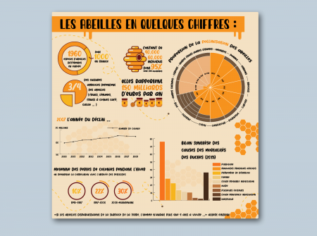 Dataviz-Stats-abeilles-case-min